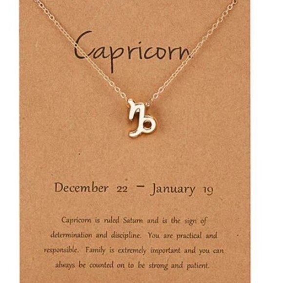 COPY - Dainty Zodiac Capricorn Pendant Necklace - Picture 1 of 2
